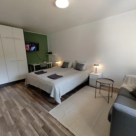 New Studio Near Amenities * Nilsiä